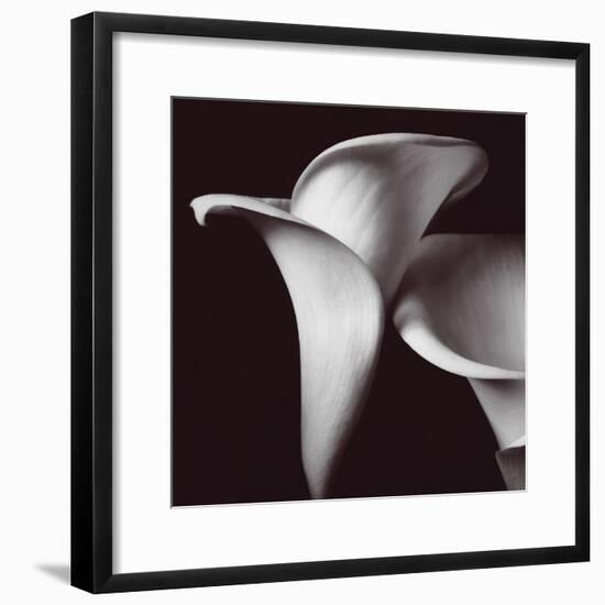 Lily-Bill Philip-Framed Giclee Print