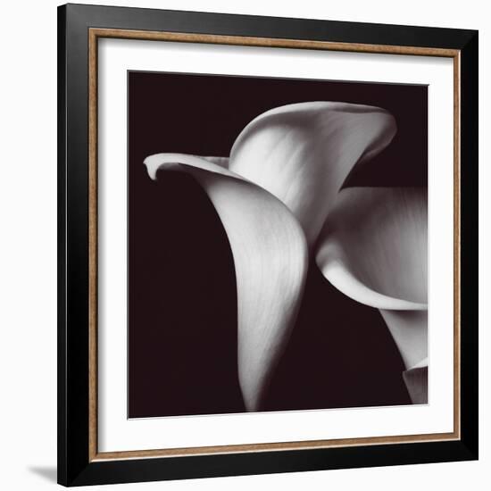 Lily-Bill Philip-Framed Giclee Print