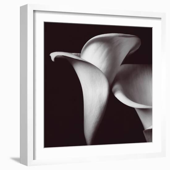 Lily-Bill Philip-Framed Giclee Print