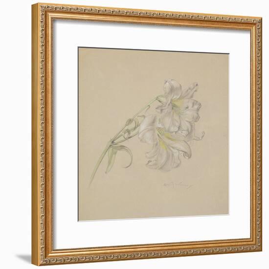 Lily-Albert Williams-Framed Giclee Print