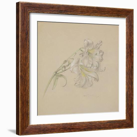 Lily-Albert Williams-Framed Giclee Print