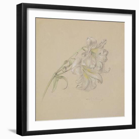 Lily-Albert Williams-Framed Giclee Print