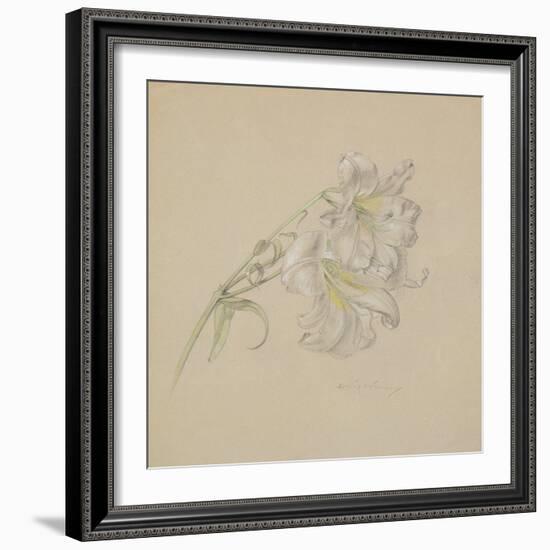 Lily-Albert Williams-Framed Giclee Print