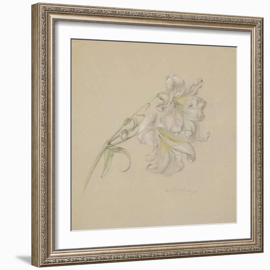 Lily-Albert Williams-Framed Premium Giclee Print