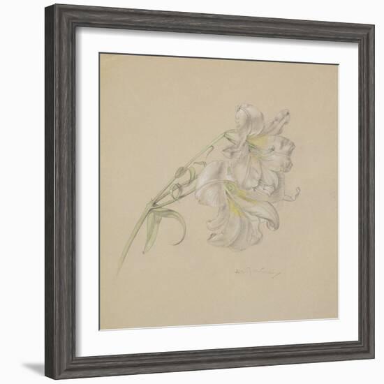 Lily-Albert Williams-Framed Premium Giclee Print