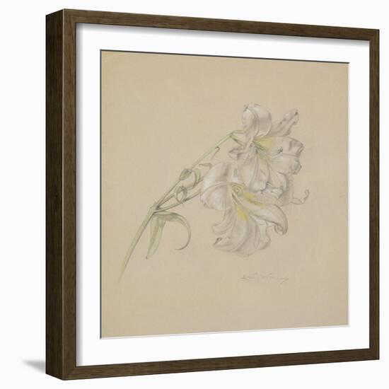 Lily-Albert Williams-Framed Premium Giclee Print