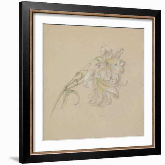 Lily-Albert Williams-Framed Premium Giclee Print