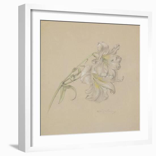 Lily-Albert Williams-Framed Premium Giclee Print