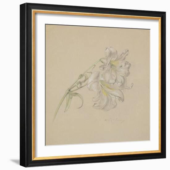 Lily-Albert Williams-Framed Premium Giclee Print