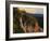 Limber Pine and Limestone Cliff, Bear River Range, Mount Naomi Wilderness, Utah-Scott T^ Smith-Framed Photographic Print