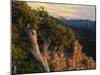 Limber Pine and Limestone Cliff, Bear River Range, Mount Naomi Wilderness, Utah-Scott T^ Smith-Mounted Photographic Print