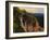 Limber Pine and Limestone Cliff, Bear River Range, Mount Naomi Wilderness, Utah-Scott T^ Smith-Framed Photographic Print