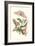 Limbo Tree with Owlet Moth-Maria Sibylla Merian-Framed Art Print