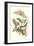 Limbo Tree with Owlet Moth-Maria Sibylla Merian-Framed Premium Giclee Print