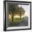 Limburg, Crucifix Along the Road and the Windmill Van Tienhovenmolen Near Wifshuis-Marcel Malherbe-Framed Photographic Print