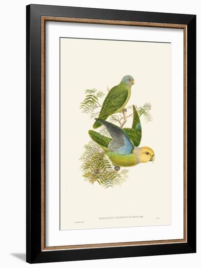 Lime & Cerulean Parrots I-John Gould-Framed Art Print