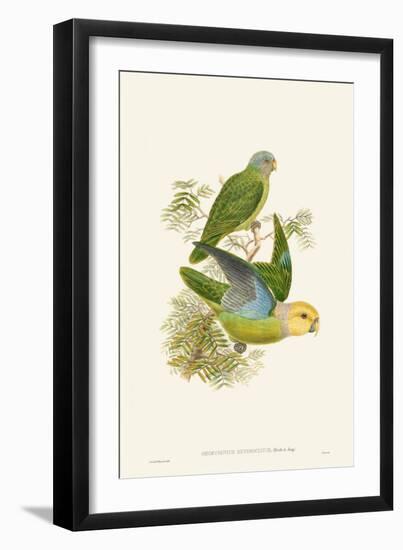 Lime & Cerulean Parrots I-John Gould-Framed Art Print