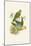 Lime & Cerulean Parrots I-John Gould-Mounted Art Print