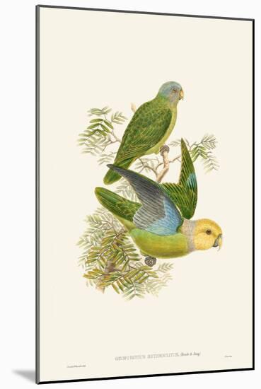 Lime & Cerulean Parrots I-John Gould-Mounted Art Print