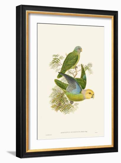 Lime & Cerulean Parrots I-John Gould-Framed Art Print