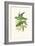 Lime & Cerulean Parrots II-John Gould-Framed Art Print