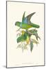 Lime & Cerulean Parrots II-John Gould-Mounted Art Print