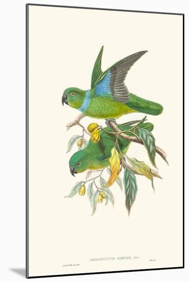 Lime & Cerulean Parrots II-John Gould-Mounted Art Print