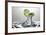 Lime Fresh Splash-Steve Gadomski-Framed Photographic Print