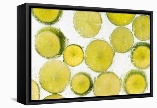 Lime Fresh-Steve Gadomski-Framed Premier Image Canvas