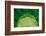 Lime FreshSplash Number 2-Steve Gadomski-Framed Photographic Print