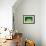 Lime FreshSplash Number 2-Steve Gadomski-Framed Photographic Print displayed on a wall