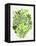 Lime Garden-Cat Coquillette-Framed Premier Image Canvas