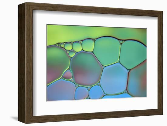 Lime Green and Blue Stained Glass-Cora Niele-Framed Photographic Print