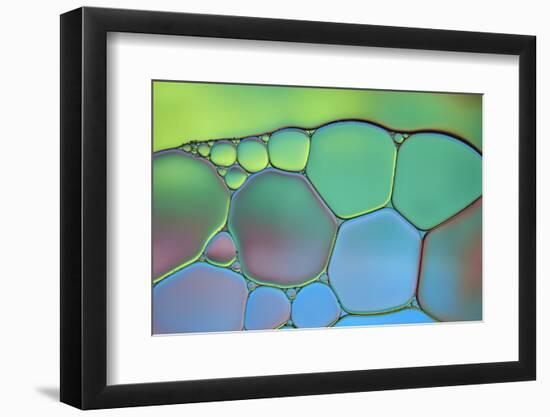 Lime Green and Blue Stained Glass-Cora Niele-Framed Photographic Print