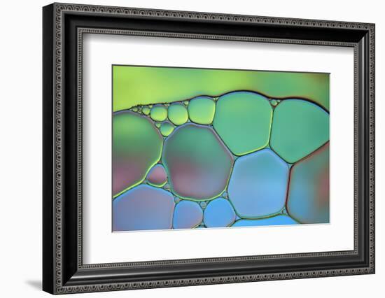 Lime Green and Blue Stained Glass-Cora Niele-Framed Photographic Print