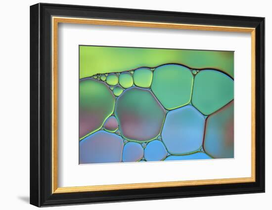 Lime Green and Blue Stained Glass-Cora Niele-Framed Photographic Print