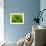 Lime Heart 2-Doug Chinnery-Framed Photographic Print displayed on a wall