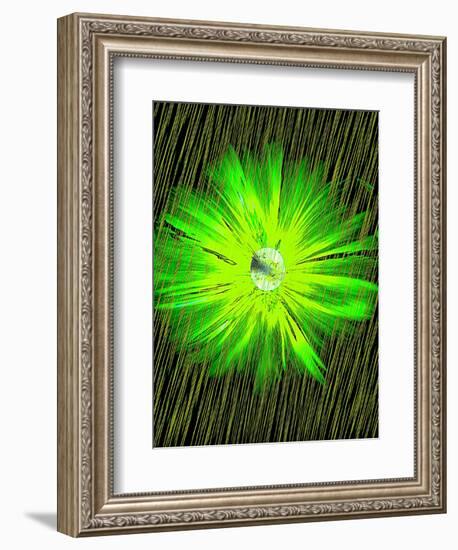 Lime Rain Daisy-Ruth Palmer-Framed Art Print