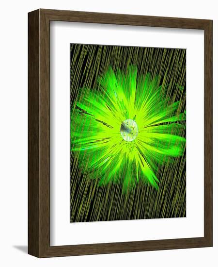 Lime Rain Daisy-Ruth Palmer-Framed Art Print