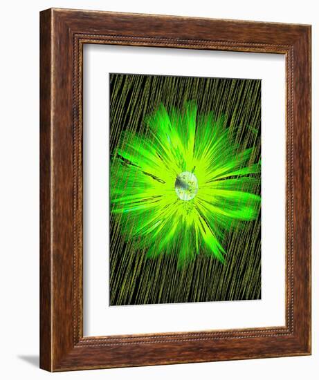 Lime Rain Daisy-Ruth Palmer-Framed Art Print