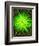 Lime Rain Daisy-Ruth Palmer-Framed Art Print