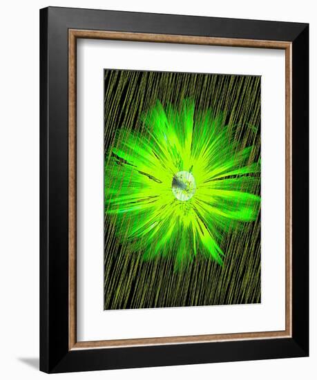 Lime Rain Daisy-Ruth Palmer-Framed Art Print