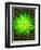 Lime Rain Daisy-Ruth Palmer-Framed Art Print