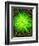 Lime Rain Daisy-Ruth Palmer-Framed Art Print