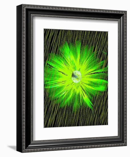 Lime Rain Daisy-Ruth Palmer-Framed Art Print