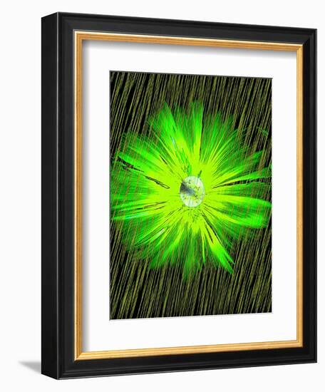 Lime Rain Daisy-Ruth Palmer-Framed Art Print