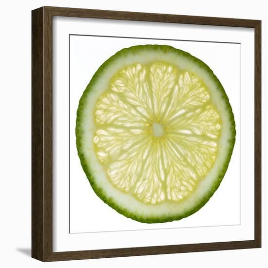 Lime Slice-Steve Gadomski-Framed Photographic Print