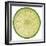 Lime Slice-Steve Gadomski-Framed Photographic Print