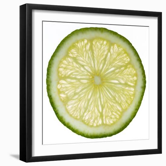 Lime Slice-Steve Gadomski-Framed Photographic Print