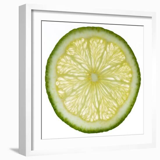 Lime Slice-Steve Gadomski-Framed Photographic Print